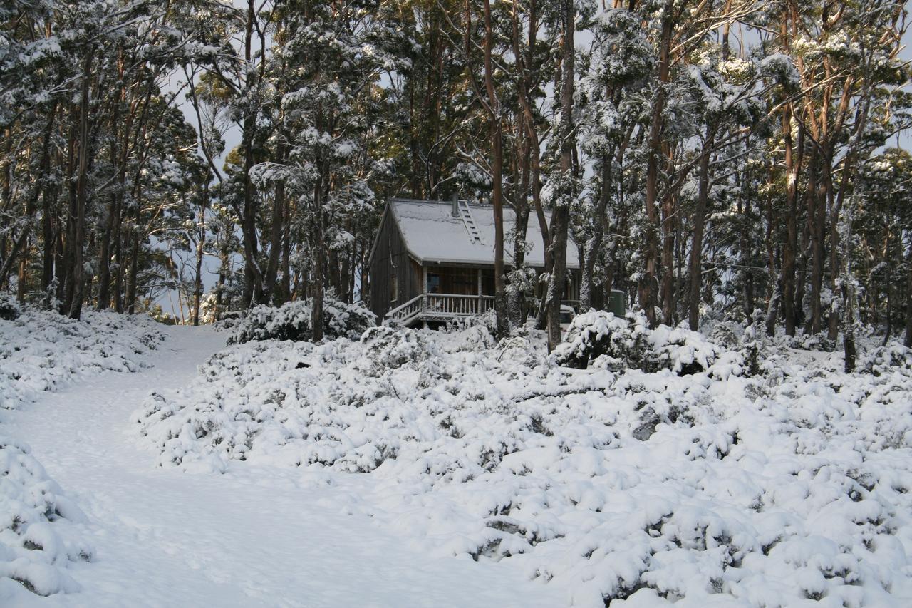 Wombat Cabin Villa Moina Bagian luar foto